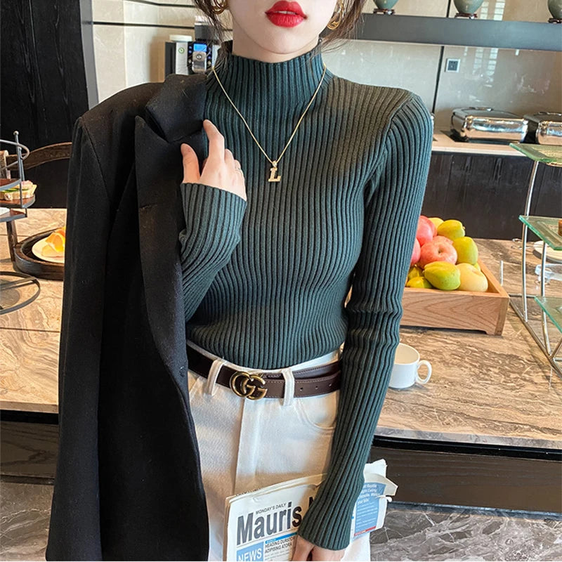 Women Solid Knitted Turtlneck Sweater Top